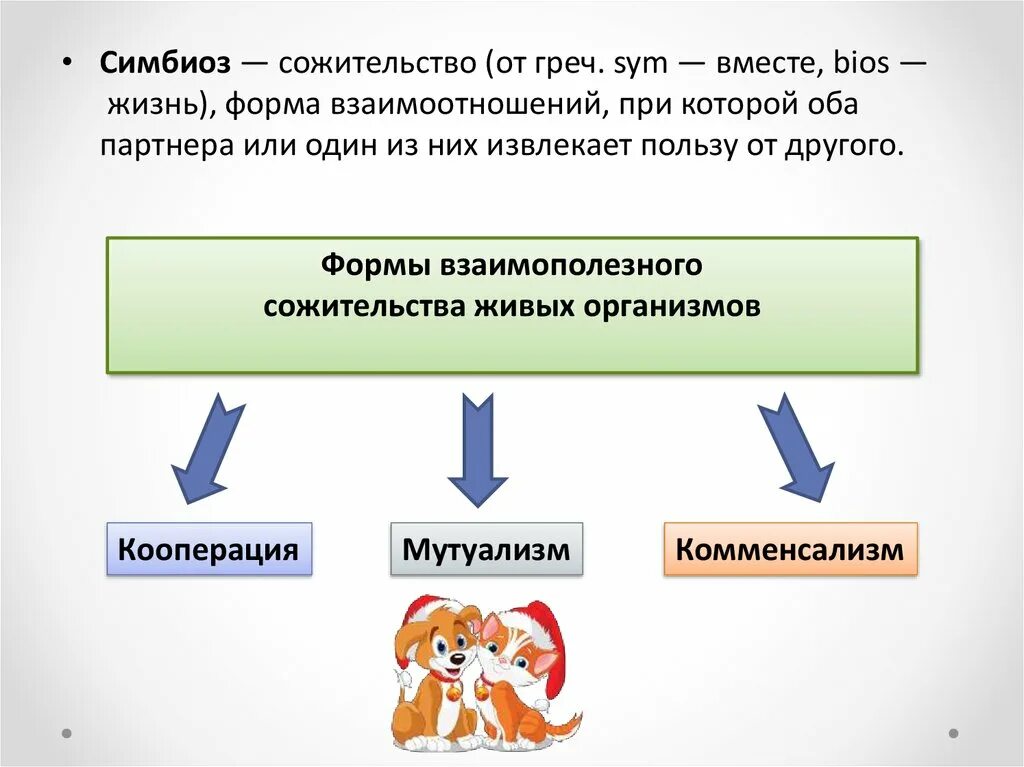 Сожительство двух организмов полезное обоим. Симбиоз сожительство форма взаимоотношений. Формы сожительства. Виды сожительства. Формы сожительства организмов.