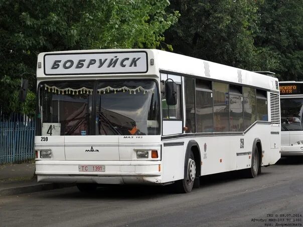 Движение автобусов бобруйск. Автобусы бобруйск. автобус 382. маз 303 бобруйск комкур. новобобруйск транспорт.