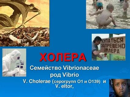 Холера в воде