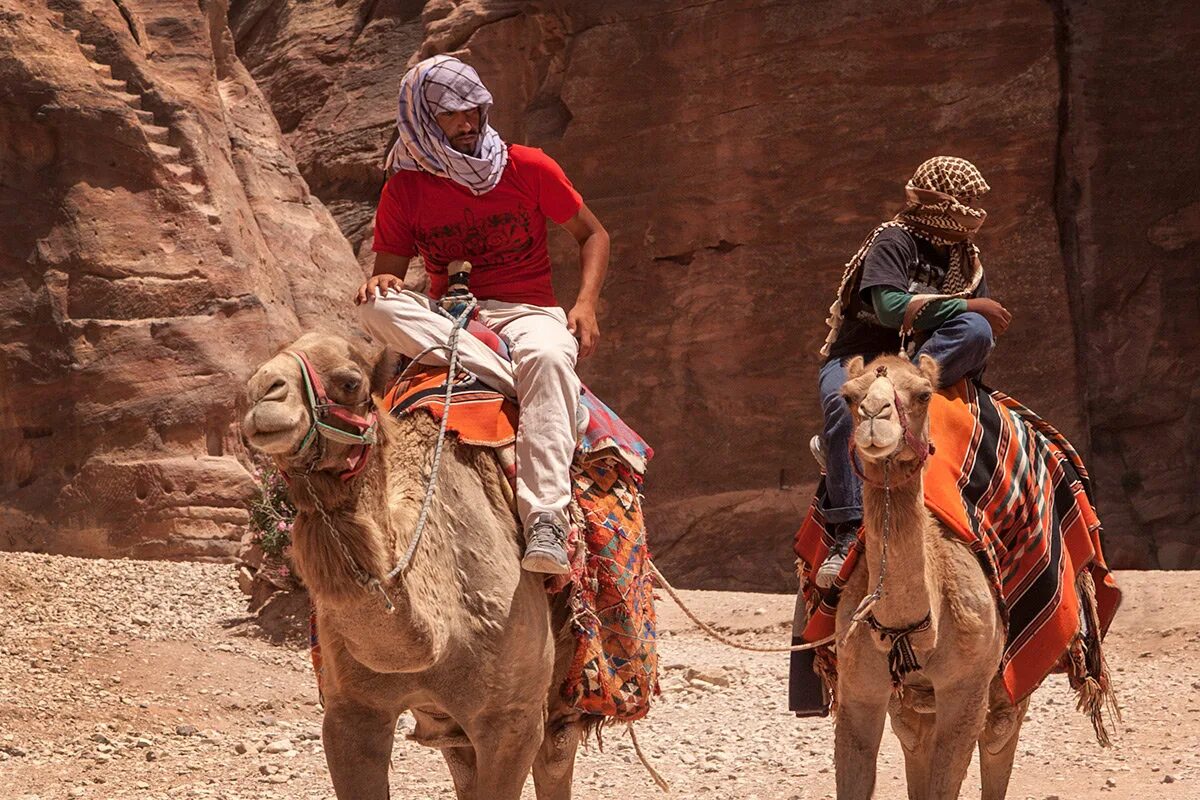 верблюды караван. верхом на верблюде. марокко поездка на верблюдах. марракеш агафай. пустыня раджастхан.