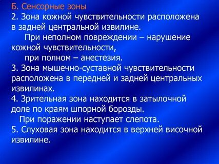 Кожно мышечная зона расположена
