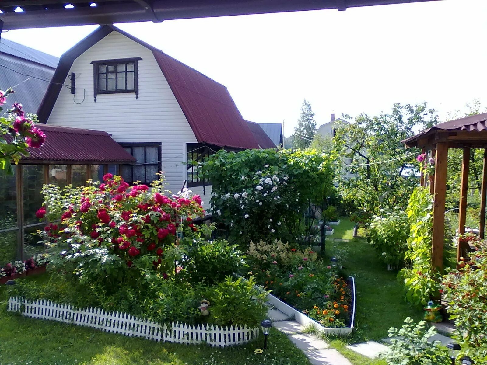 Ухоженный дачный участок. Обычный дачный участок. Красивый участок на даче. Обустройство участка загородного. Дизайн дачного участка.