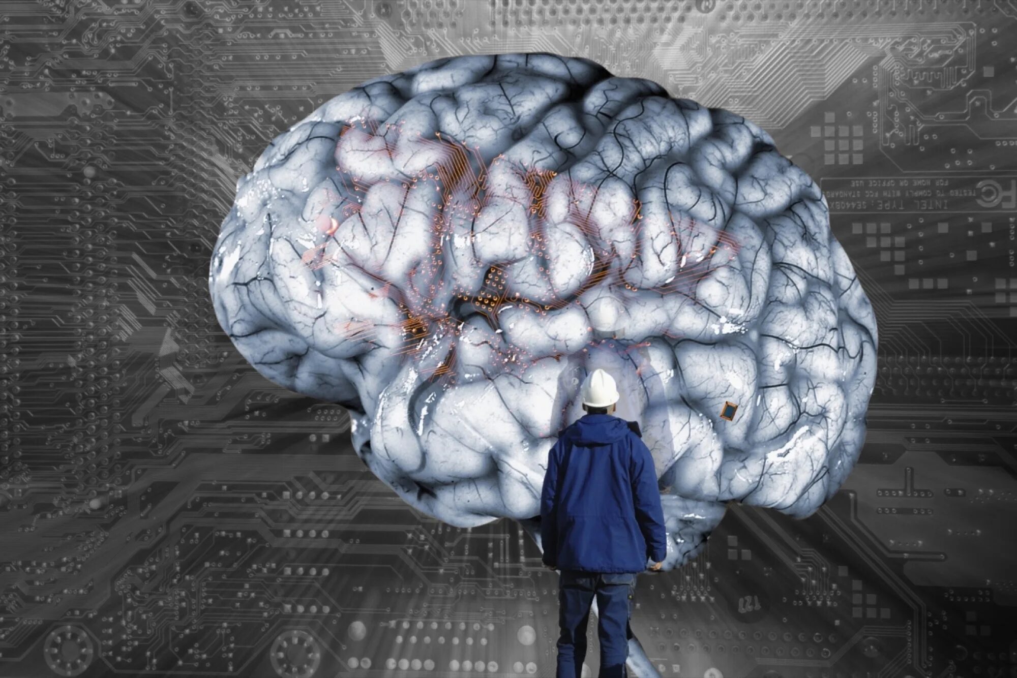 Искусственный человеческий мозг. Огромный искусственный мозг.