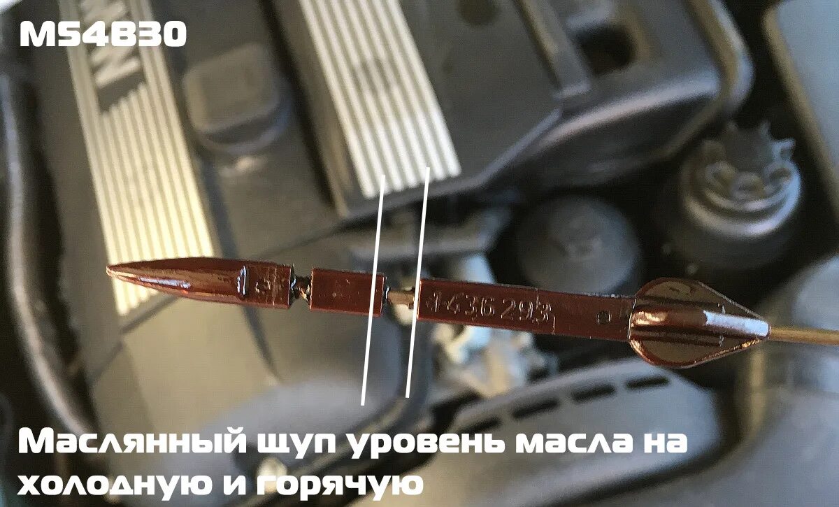 BMW e36 уровень масла щуп. Масляный щуп БМВ м52. Щуп БМВ е34. Масляный щуп БМВ е39. Как проверить уровень масла в бмв