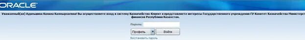 Казначейство клиент. Казначейство информационные системы. Казначейство client.kazynashylyk kz вход в систему.