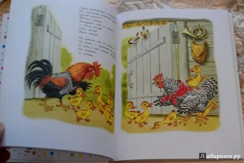 Как цыпленок впервые сочинил сказку