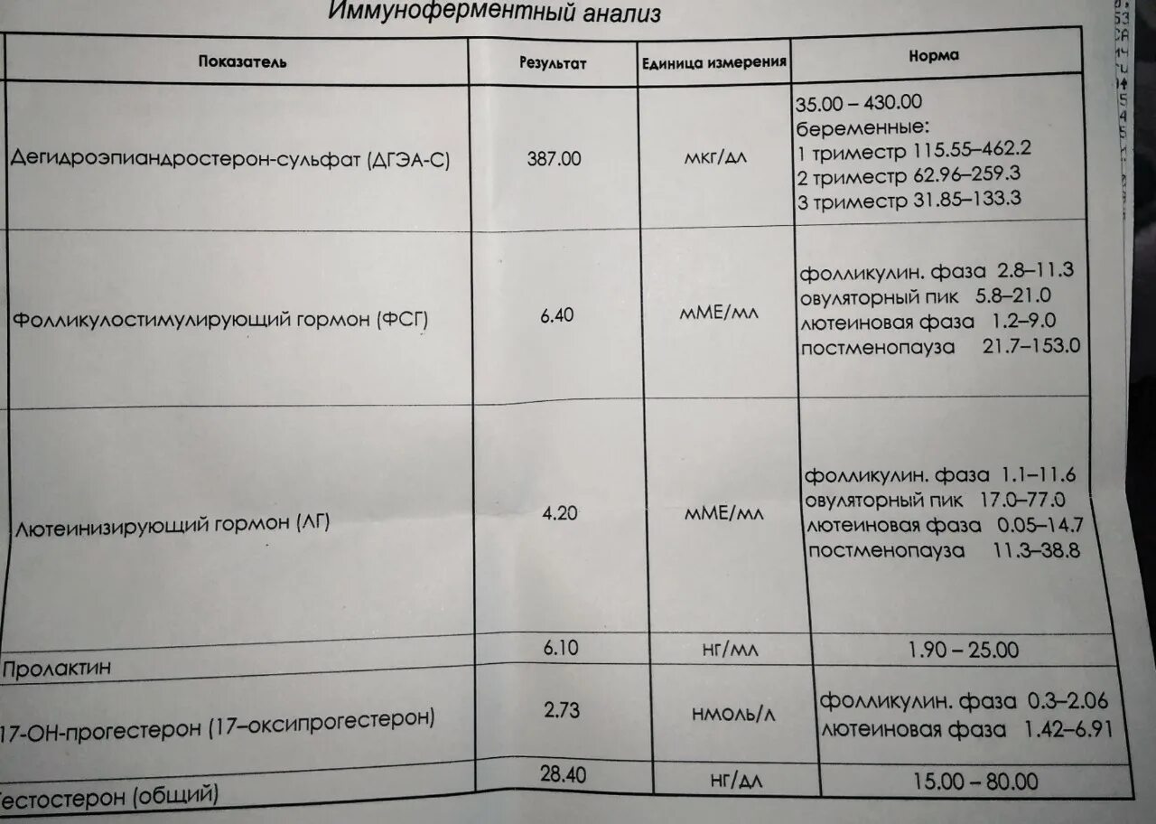 Дэг до какого числа