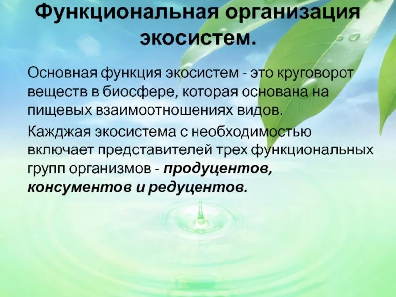 Описание роли в экосистеме. Экосистемы и функциональные. Функции экосистемы. Функционирование экосистем. Основная функция биогеоценоза.