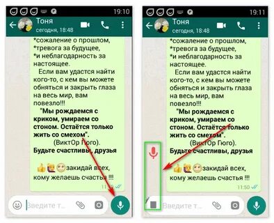 Перевод голосовых сообщений в текст ватсап