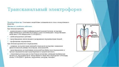 Экфилин