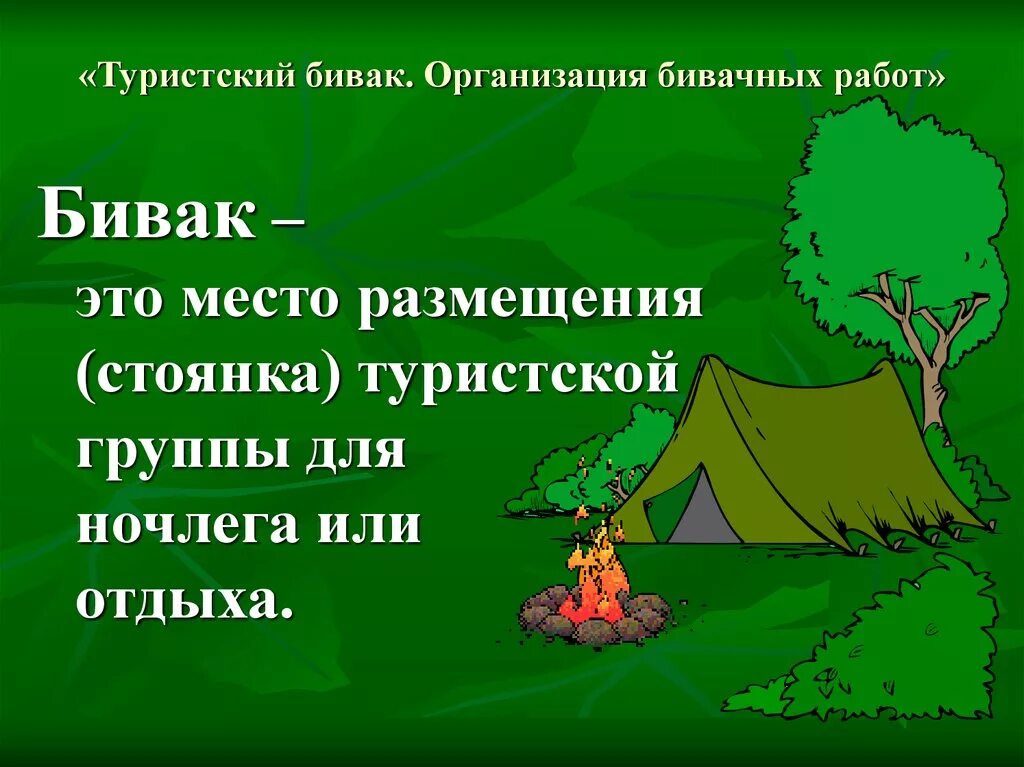 Что такое бивуак