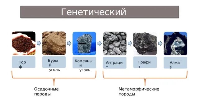 Качество угля в Рурском бассейне. Нефть каменный уголь торф глина мел рисунки. Торф уголь корова. Торф, бурый уголь, каменная соль в Калининграде. Бурый уголь торф каменный уголь