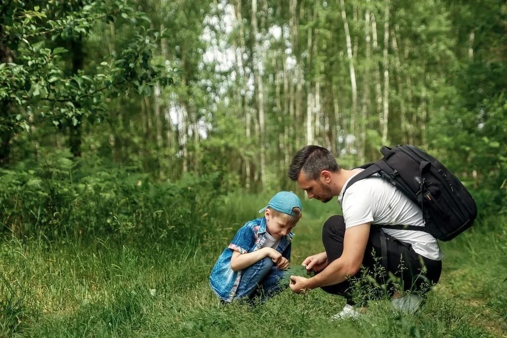 Грибники бузулукского бора. Человек в лесу. Можно ли ходить в лес. Не ходи в лес. Поход в лес.