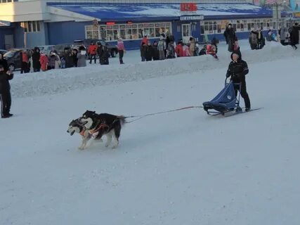 День оленевода воркута