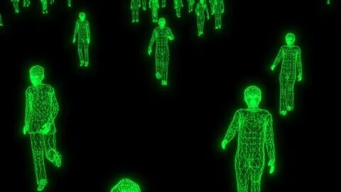 Body data