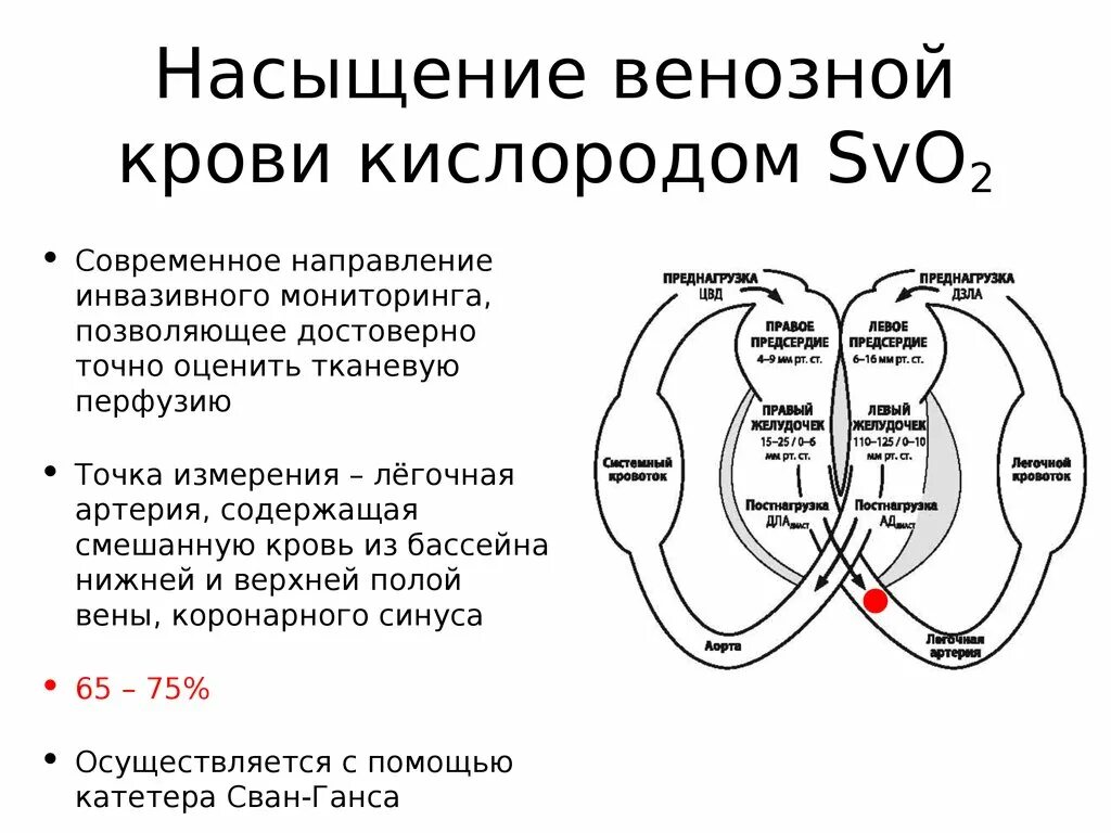 Насыщение кислородом венозной крови. Насыщение венозной крови. Препараты для повышения сатурации кислорода в крови. Схема насыщения крови кислородом. Как изменяется кислород в крови