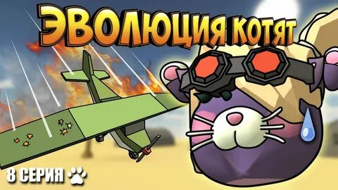 Эволюция котят 1