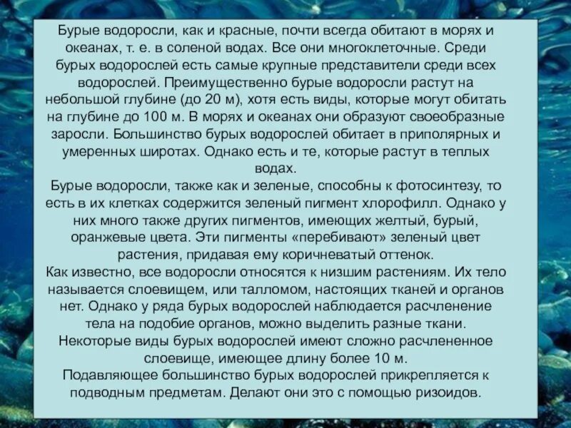 Каково значение бурых водорослей в жизни. Сообщение о красных и бурых водорослях. Сообщение на тему красные и бурые водоросли. Красные и бурые водоросли различия. Красные водоросли информация.