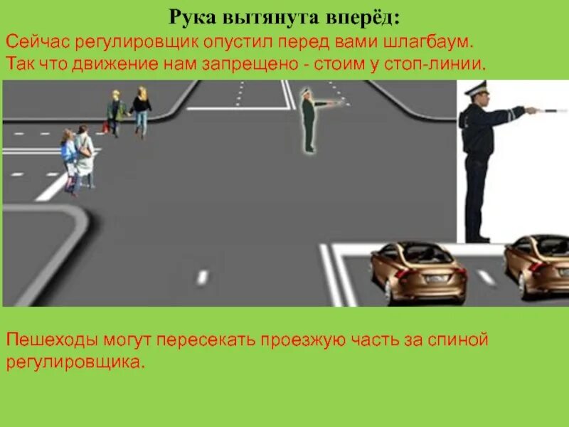 Деятельность какого движения регулирует