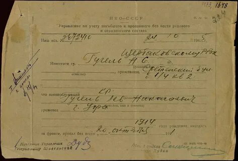 Дивизия пропавшая без вести