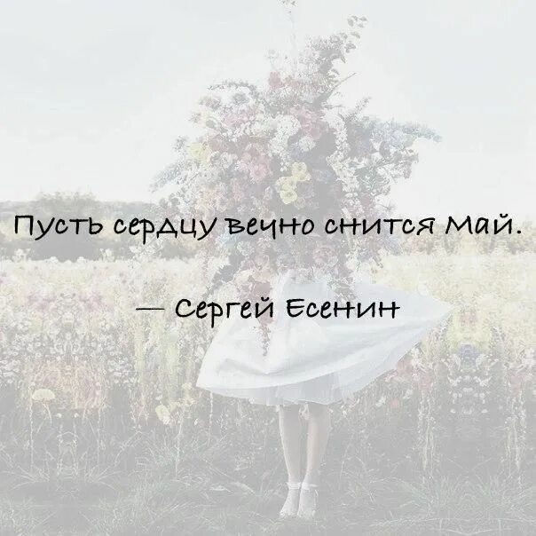 И та что навсегда люблю я