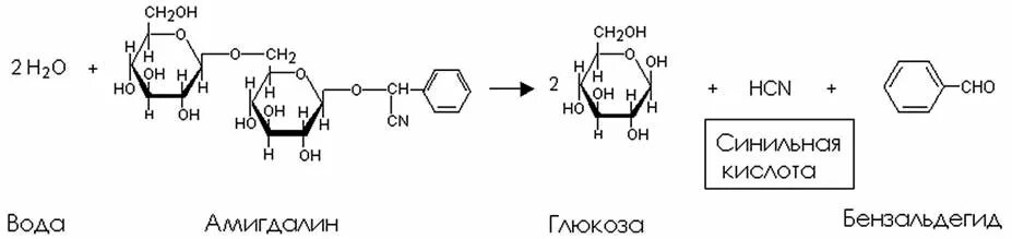 Гидролиз цианидов