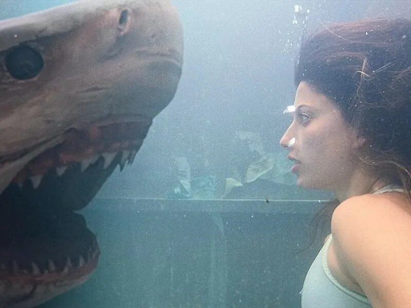 Глубокое море акула. Глубокое синее море акула. Глубокое синее море 3 акулы. Глубокое синее море акула. Акула мако глубокое синее море.