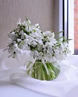 Добрый день картинки с подснежниками