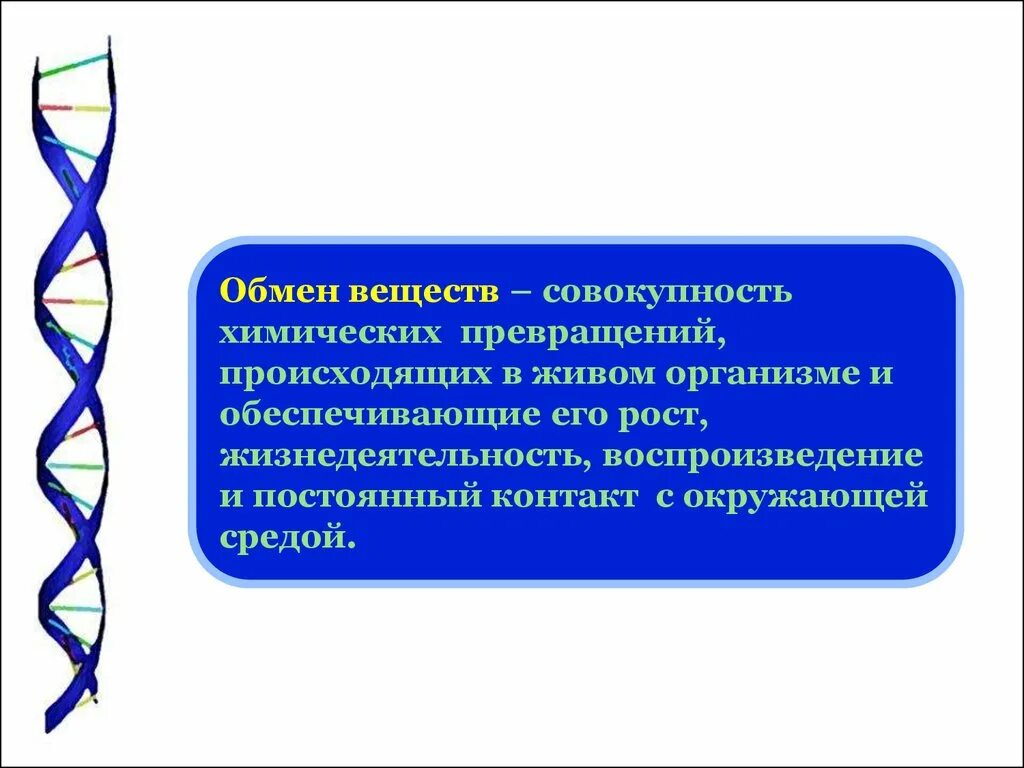 Обменные процессы в организме. Обмен веществ в организме человека. Обмен веществ химия. Метаболизм живых организмов.