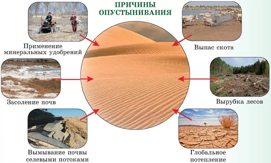 Причины опустынивания почв. Факторы опустынивания. Антропогенные причины опустынивания. Опустынивание причины и последствия.