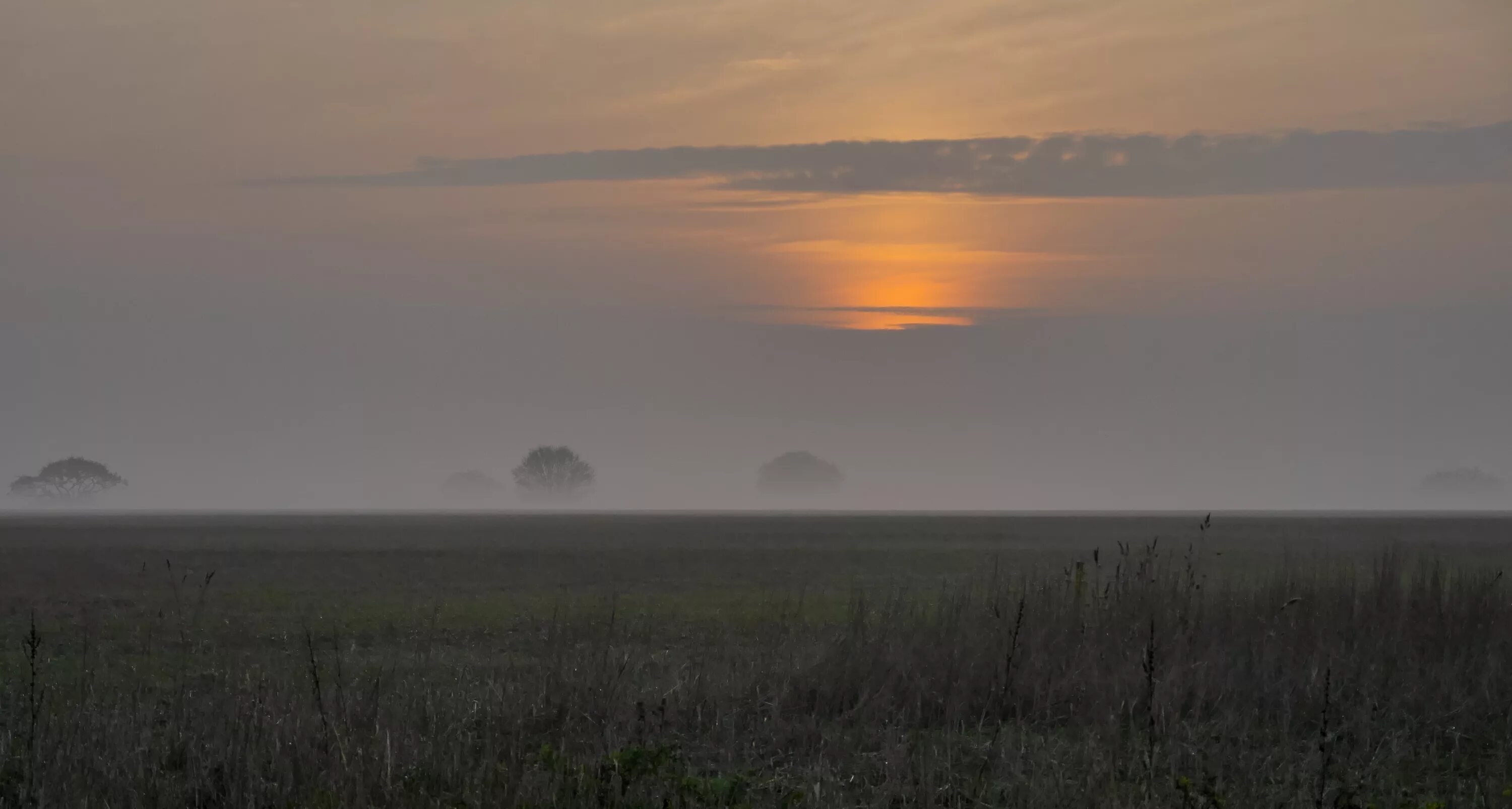 Утренний туман начинал слегка текст. Туман в степи. Утро в степи. Равнина в тумане. Степь под туманом.