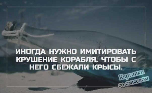 Иногда чтобы крысы сбежали. Иногда нужно имитировать крушение корабля. Иногда надо упасть на самое дно чтобы. Дойти до дна чтобы оттолкнуться. Оттолкнувшись от дна цитата.