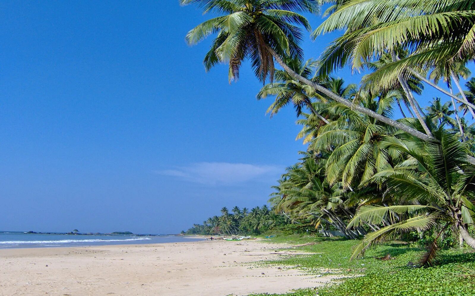 Матара шри. Матара Шри Ланка. Коломбо Шри Ланка пляжи. Polhena Beach Шри Ланка. Пляж Матара Шри Ланка.