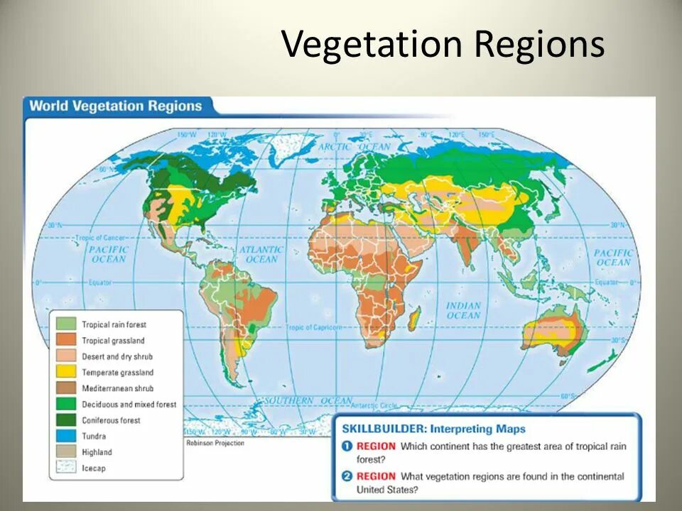 Vegetation and soils. What is vegetation. world regions map. vegetation zone. tropical areas.