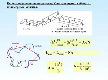 Понятие сегмента