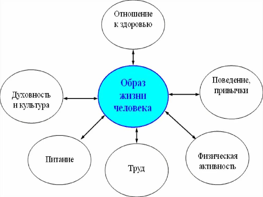 Главные составляющие рисунка