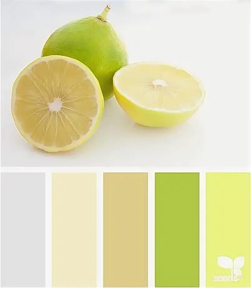 More colour.... Seeds color, Design seeds, Color schemes