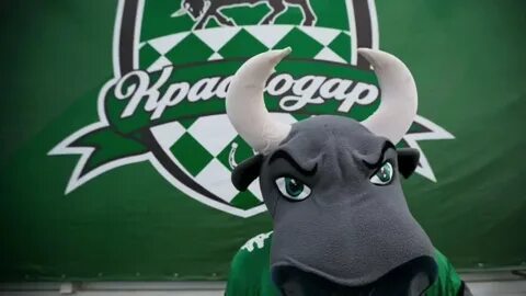 Краснодар 29 сентября