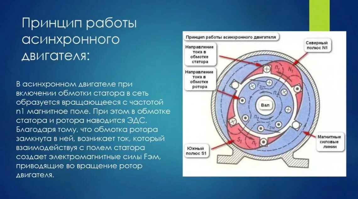 На каком физическом явлении основана работа электродвигателя. Работа асинхронного трехфазного двигателя принцип работы. Принцип действия асинхронного двигателя с короткозамкнутым ротором. Принцип действия трёхфазного асинхронного электродвигателя. Устройство действия трехфазного асинхронного двигателя.