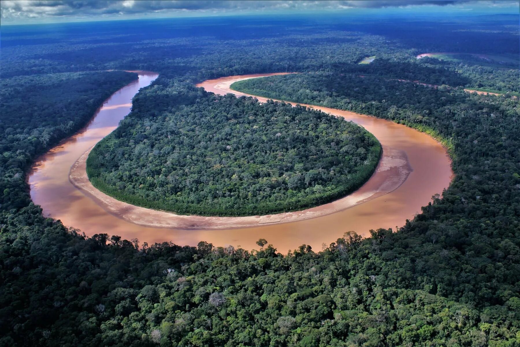 Selva lapiedra. Сельва Перу. Перу река Амазонка. Река Амазонка в Бразилии. Сельва Амазонии.