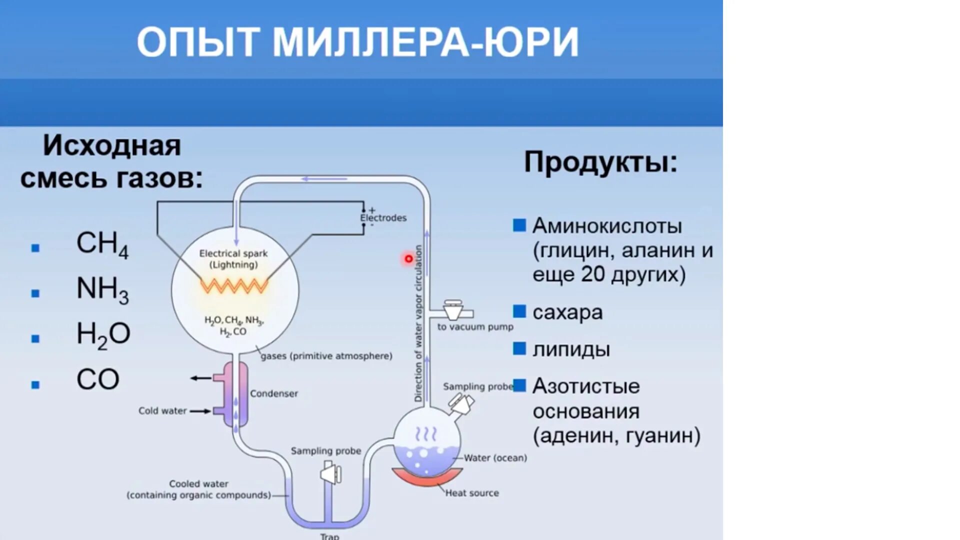 Суть эксперимента миллера. Теория Опарина Миллера Юри. Эксперимент Стэнли Миллера. Эксперимент Миллера - Юри. Эксперимент Миллера Юри кратко.