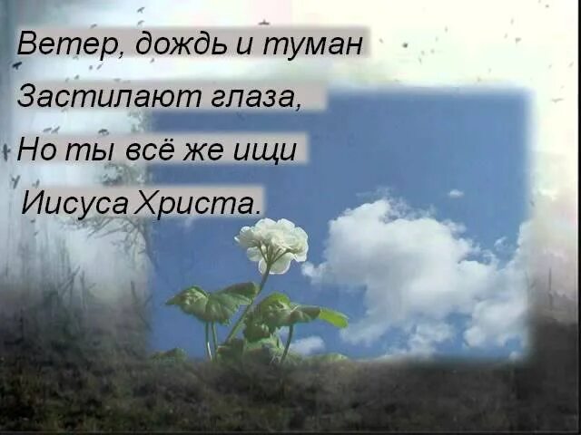 Ветер дождь и туман застилают глаза. Христианская песня ветер дождь и туман застилают глаза. И В дождь и туман засевают глаза. Ветер дождь и туман застилают глаза текст. Мир ветер песня