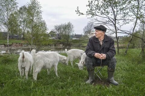 Где пасти коз