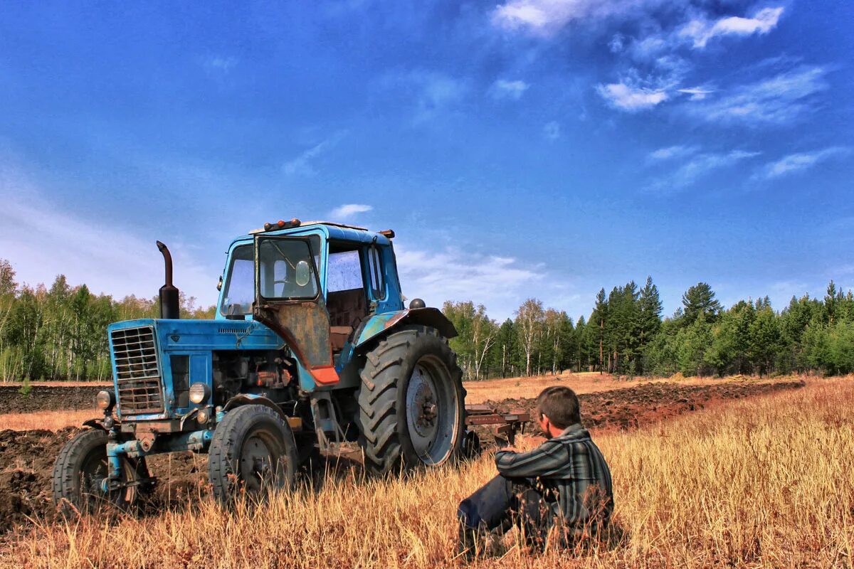 Село тракторное. МТЗ 80 колхоз. МТЗ 80 В поле. Трактор МТЗ 80 В поле. Трактор МТЗ 82 В поле.