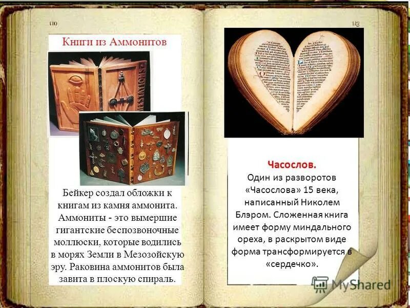 эбс университетская библиотека онлайн. книга имеет приложения. приложение книги. про книги твиттер. бесплатные книги — wattpad.