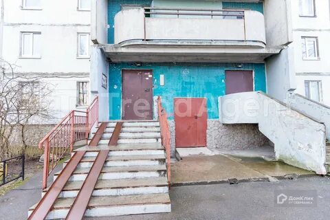 Санкт петербург д 55