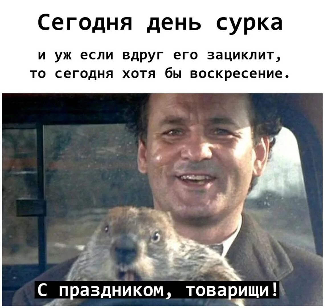 День сурка что это значит выражение. День сурка прикол. день сурка мемы. день сурка картинки. день сурка демотиватор.