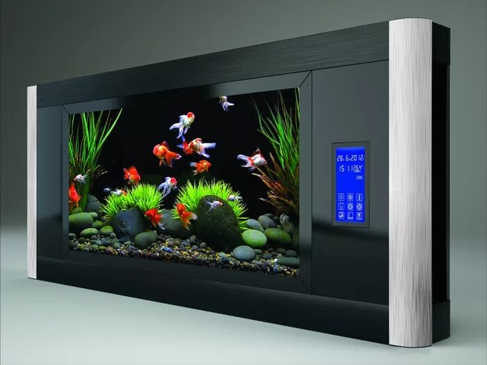 Электронную имитацию. Манок lucky duck на хищника. Электронный манок для птиц. Электронную имитацию. Lucky duck манок.