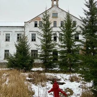 Больница алленберг знаменск