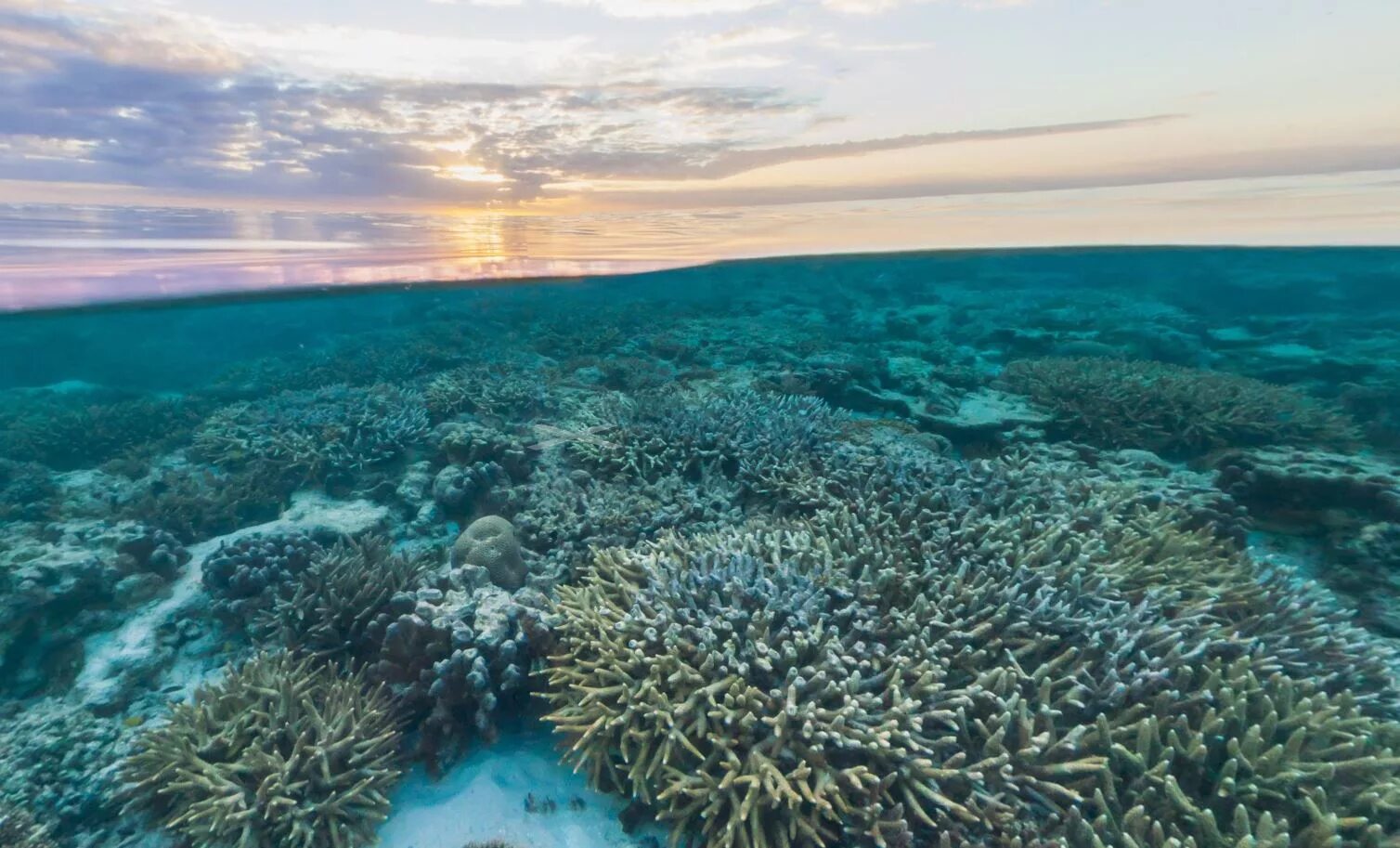 The largest ocean in the world